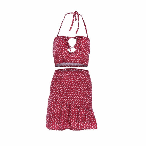 Floral Printed Crop Top and Mini Skirt Two-piece