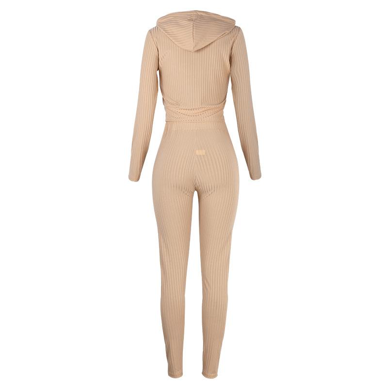 Two Piece Set Long Sleeve Crop Top Turtleneck And Pants