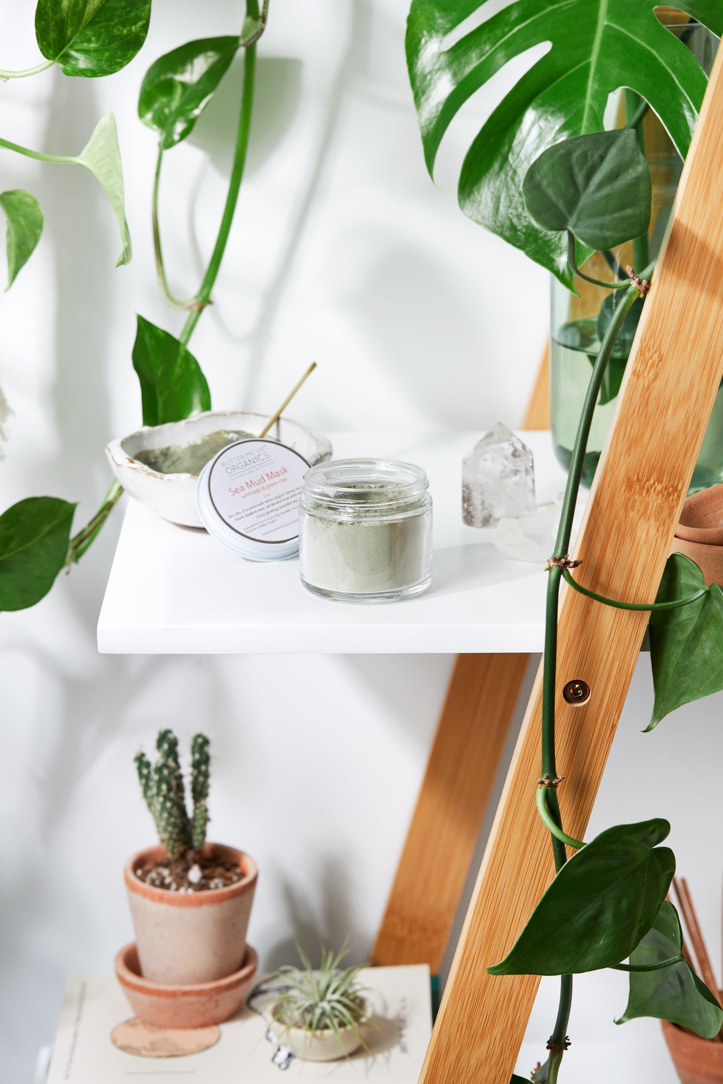 Sea Mud Mask / French Green Clay Kaolin Clay